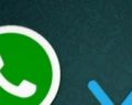 ¿Cómo evitar el doble 'check' de WhatsApp?