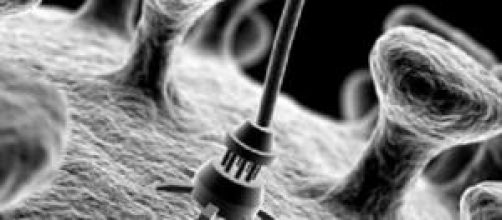 Fonte / Reprodu&ccedil;&atilde;o: site Science20.com