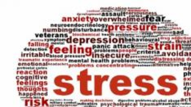 Scoperta la scintilla dello stress