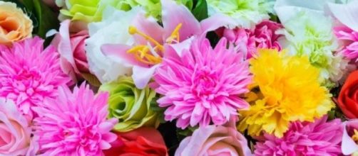 As flores e o que elas dizem sobre voc&ecirc;