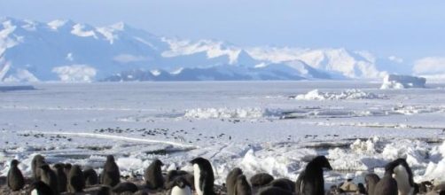 Un nuevo modelo de crecimiento: se estudia en Lima