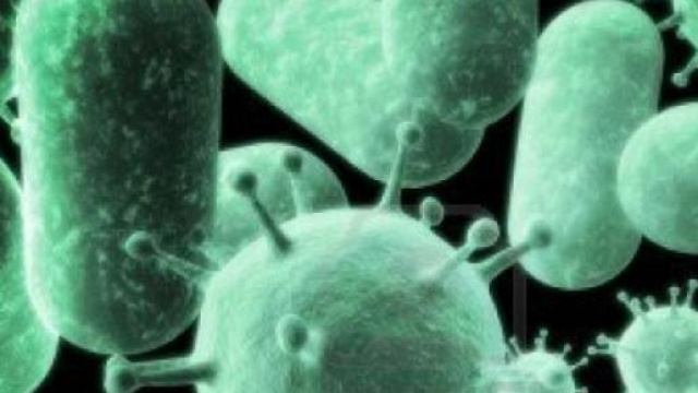 I superbatteri resistenti agli antibiotici
