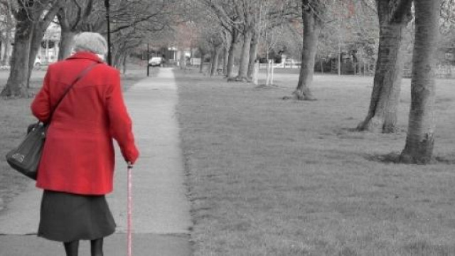 Pensioni 2014/2015: su stabilit&agrave; interviene Cgil