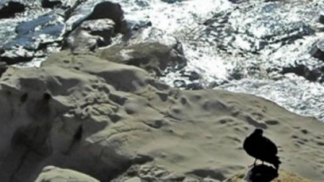 La scogliera  di Bordighera in Liguria