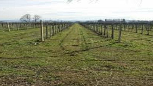 Proroga imu terreni agricoli montani al 26/01