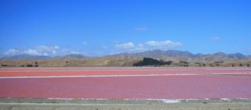 Lago rosa en Senegal, pariente del Hillier
