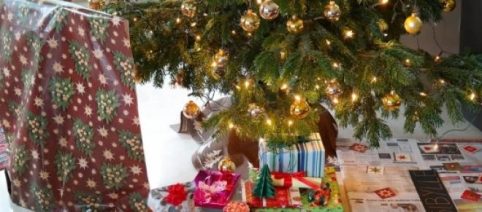 Propuestas para adquirir los obsequios de Navidad de último momento