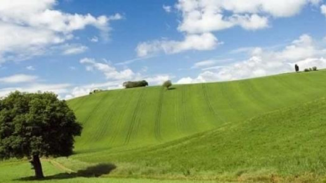 Scegliamo alimenti biologici