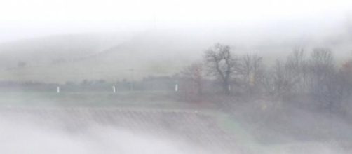 Fog around Col des Laborouns, Beaujolais, France.
