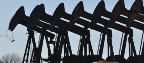 massive field oil pumpjacks 