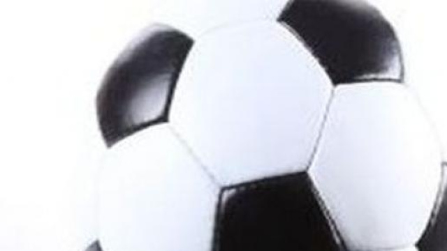 Pronostico torino-genoa Serie A