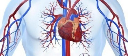 La extracci&oacute;n de plasma y los ataques al coraz&ograve;n.