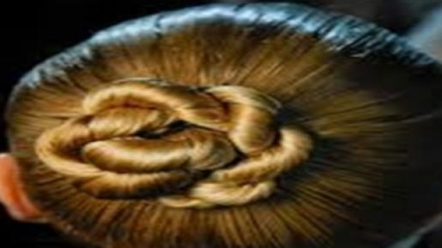 Acconciature per il Capodanno 2015.