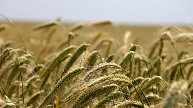 IMU 2014 sui terreni agricoli montani.