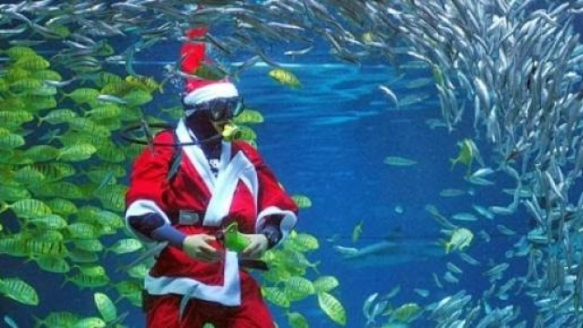 Natale 2014: Italiani quasi tutti a casa