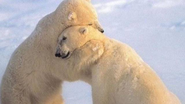 abbraccio contro raffreddore 