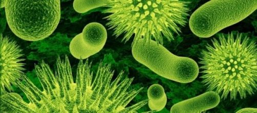 V&iacute;rus: part&iacute;culas pequenas e microsc&oacute;picas