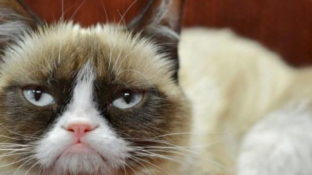 Felicit&agrave; e geni. Inglesi imbronciati