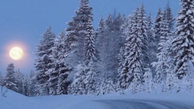 Previsioni meteo inverno 2015, arriver&agrave; la neve?