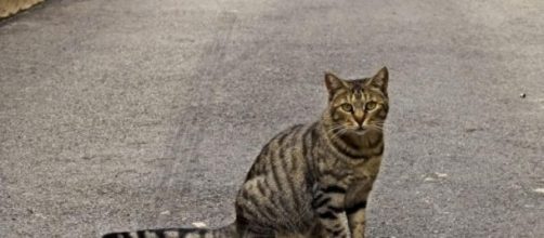 El riesgo de una aventura