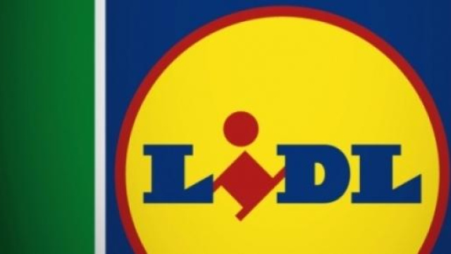Lidl: pi&ugrave; di 70 le offerte di lavoro attive