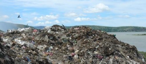 Muchos recolectores mueren de forma prematura