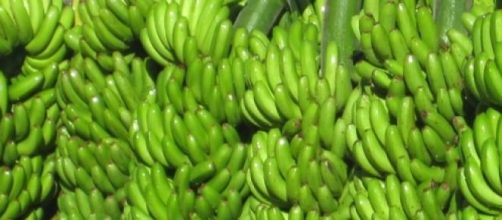 Los pl&aacute;tanos y su alto contenido radiactivo