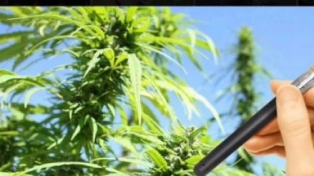 La Francia vende lo spinello elettronico 