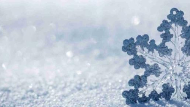 Previsioni meteo: in arrivo il grande freddo 