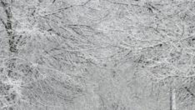 Meteo Inverno 2015 come sar&agrave;