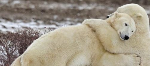 El abrazo, una de las claves de la felicidad