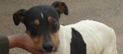 Este vagabundo, ha dejado de serlo.