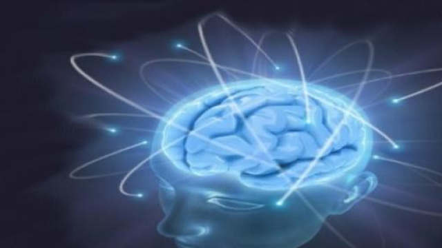 Un'immagine della mente umana