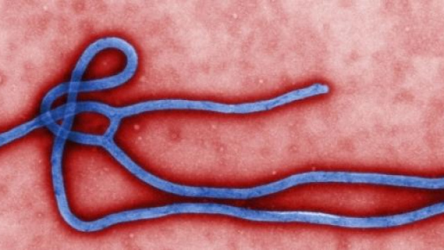 Peggiorano le condizioni del medico di Energency.