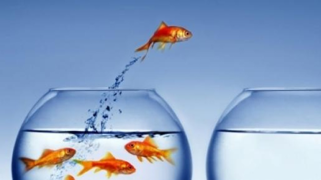 Piano assunzione docenti e Ata: il no dal Senato