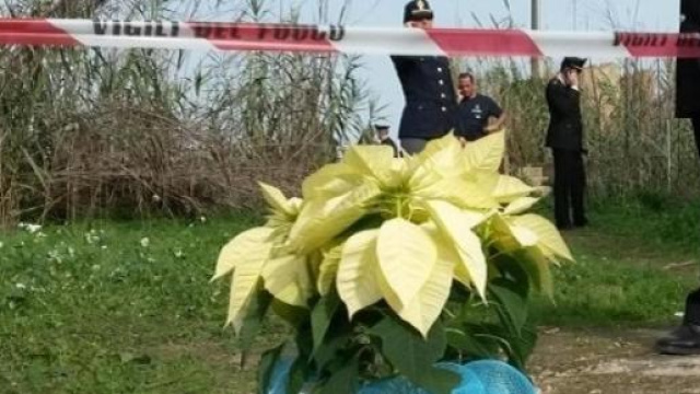 Loris, ultime notizie sul caso