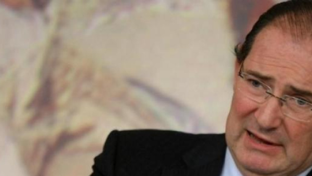 Galan cade da un albero e finisce in ospedale