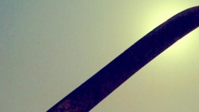 Ornitologo uccide suo rapitore con machete e fugge