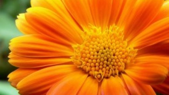 Decreto legge sull'Ilva, via libera.