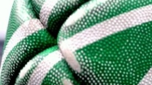 Risultati prima giornata Sei Nazioni.