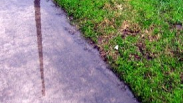 Roberta Ragusa, nuova testimone