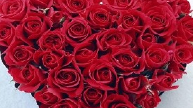 san valentino idee regalo e frasi