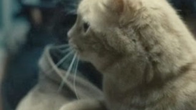 Ulisse, in "A proposito di Davis"