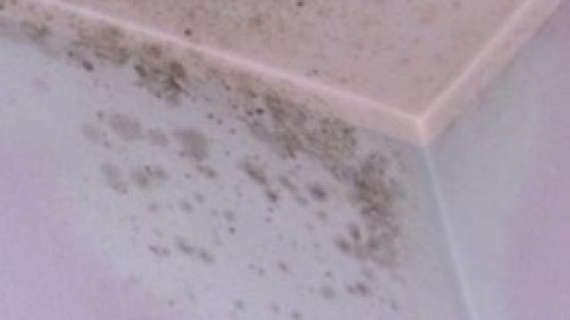 Togliere macchie di muffa dai muri