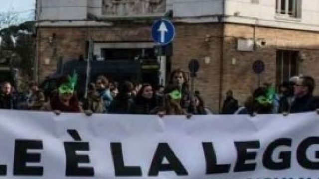 Legge Fini Giovanardi sulle droghe leggere