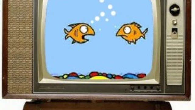 Guida tv programmi stasera