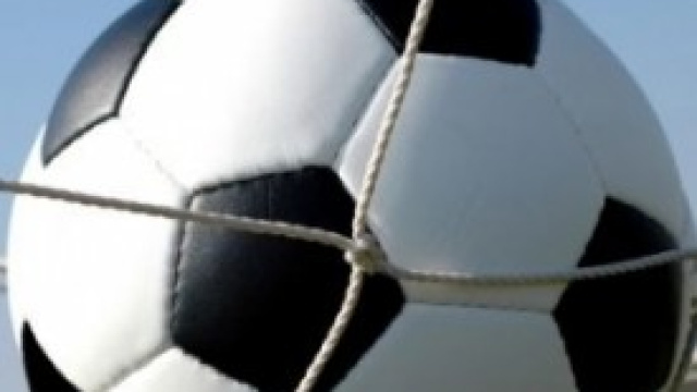 Pronostici Serie A  24.a giornata.