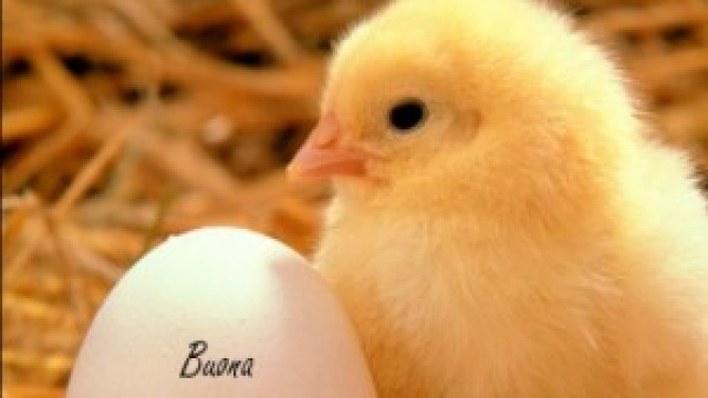 Pasqua 2014: le date delle feste