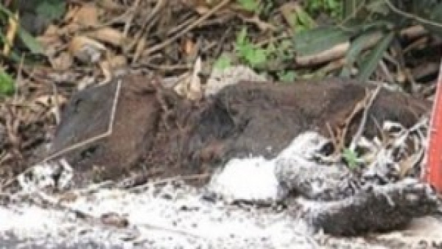 Carcassa verniciata dopo rifacimento delle strisce