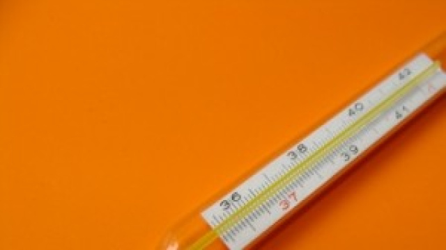 Influenza 2014, sintomi e cure